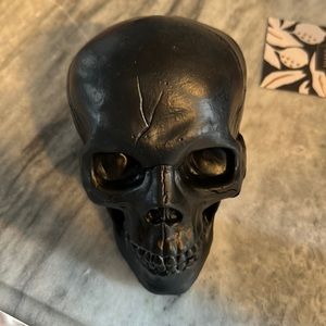 Skeleton skull